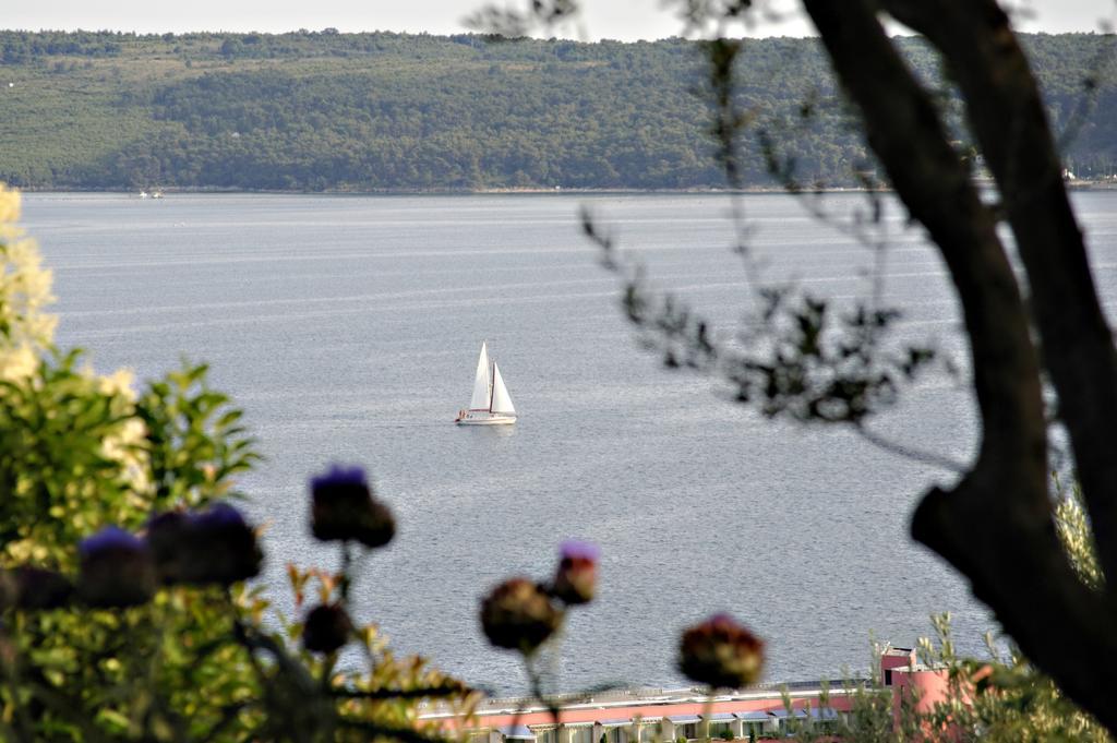 Apartment Rubin Piran Exteriör bild